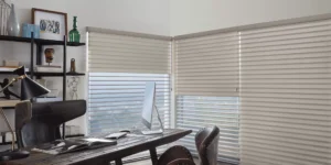 Beige roller shades on large windows in home office.