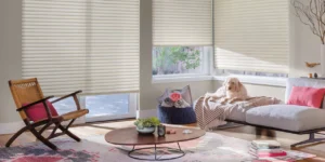 White blinds on large windows in living room with dog sitting on couch.