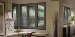 Dark wooden indoor window shutters.