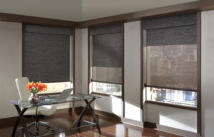 Hunter douglas home office window coverings, roller shades in black