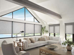 Hunter douglas roller shades in living room